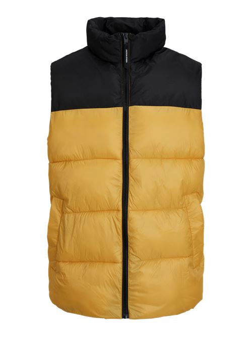 Gilet Smanicato da Uomo Giubbotto e Piumino